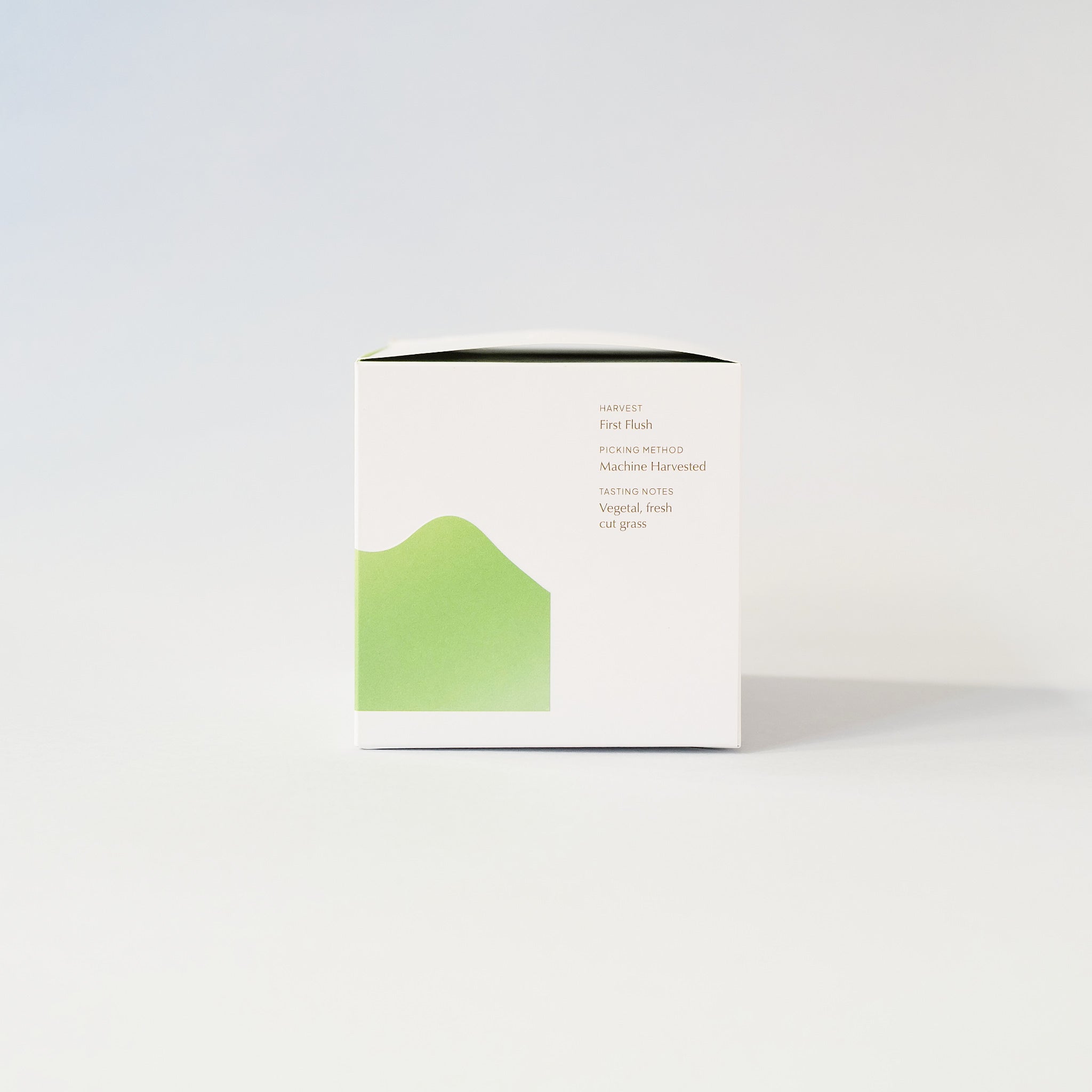 Sencha Tea Bags